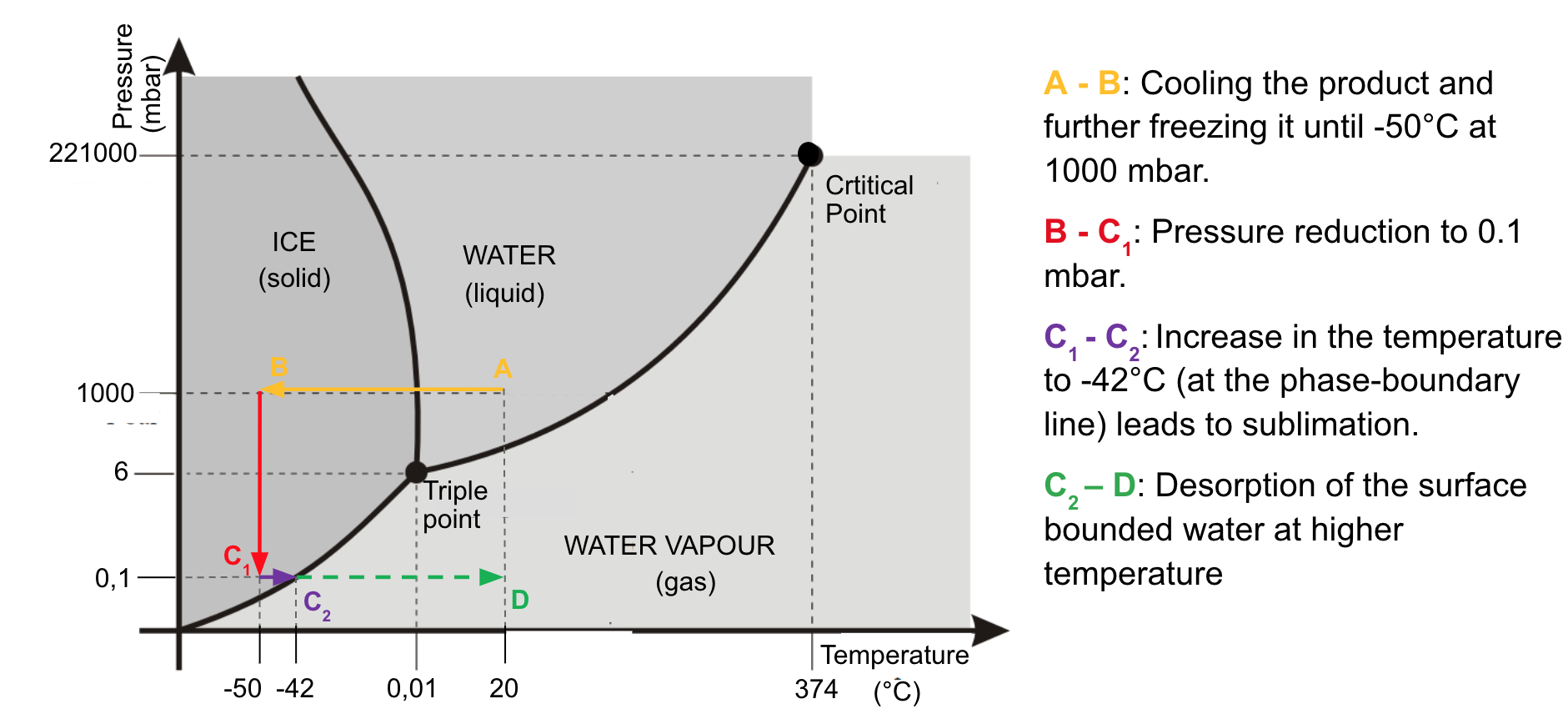 Freezedrying peptides in stable form Healthcare Mittelhessen